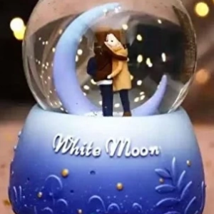 Kar Küresi Orta Boy Wy20k08