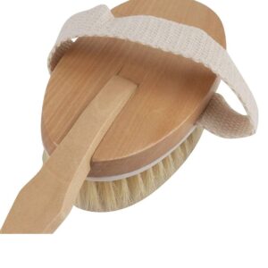 Turk Novellini Doğal Banyo Sırt ve Selülit Fırçası