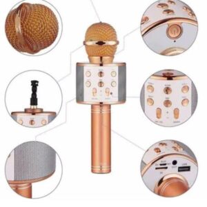 Karaoke Mikrofon Dahili Hoparlörlü Sd-usb-aux Girişli Bluetooth Hoparlör