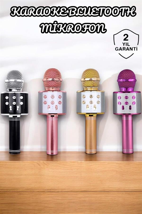 Şarjlı ve Uzun Pil Ömürlü Karaoke Mikrofon USB Bellek Destekli Profesyonel Ses - Görsel 2