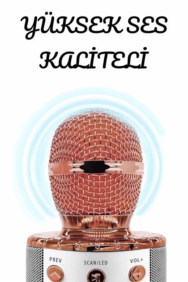 Şarjlı ve Uzun Pil Ömürlü Karaoke Mikrofon USB Bellek Destekli Profesyonel Ses - Görsel 3