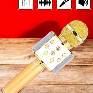 Şarjlı ve Uzun Pil Ömürlü Karaoke Mikrofon USB Bellek Destekli Profesyonel Ses