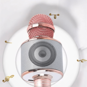 Taşınabilir Bluetooth Karaoke Mikrofon: Hafıza Kart Girişli Etkileyici Performans