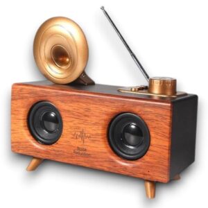 B6 SPEAKER HOPARLÖR